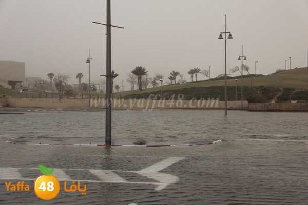 mina2 adrar jfe (11).jpg